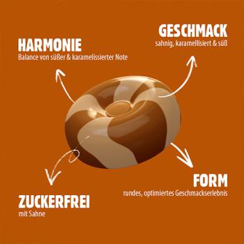 Preview: VIVIL CremeLife Caramel zuckerfrei 1Kg
